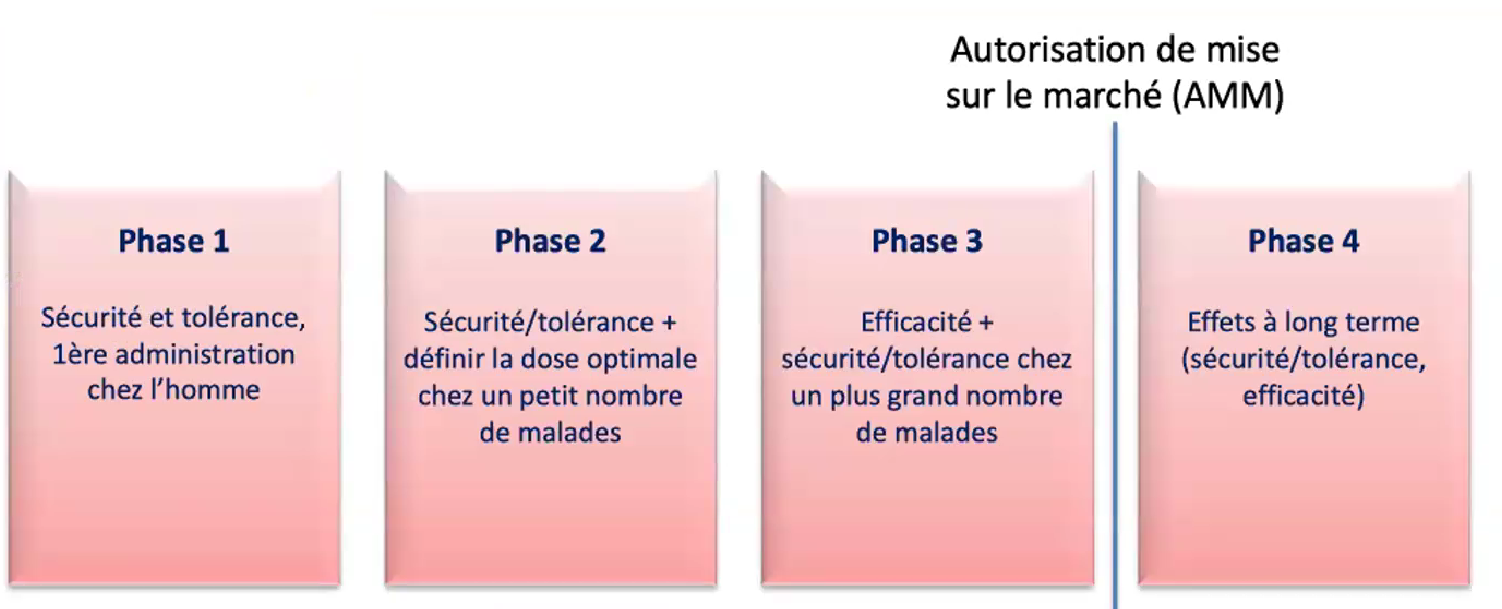 Phases-essai-clinique.png
